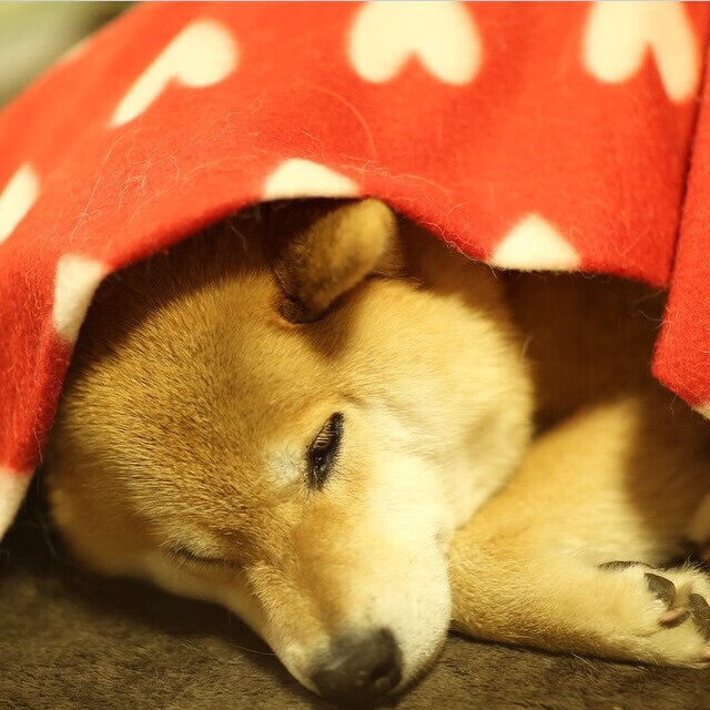 开云网页版-“西甲激战不断，强队争夺欧冠席位”，西甲晋级欧冠规则