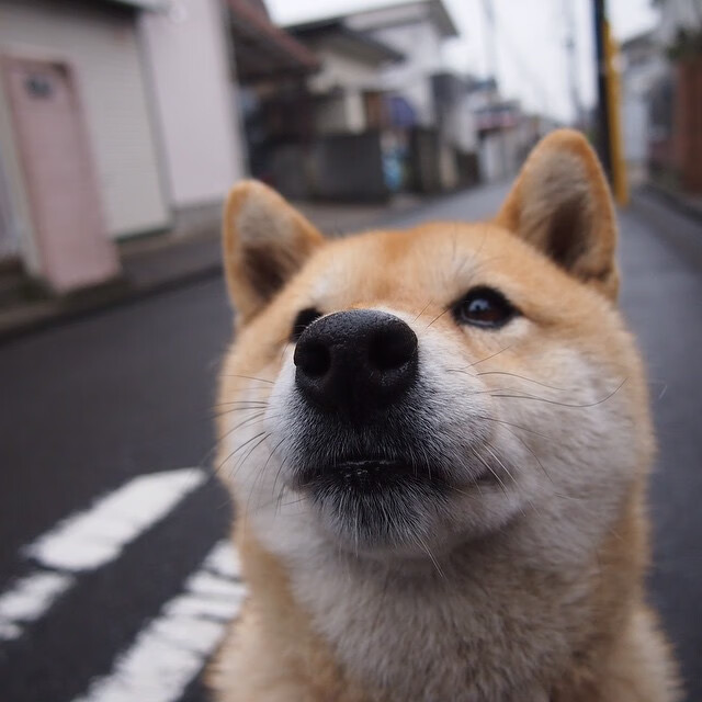 开云体育登陆入口-“英超关键战役:球队奋战只为三分”,“英超”
