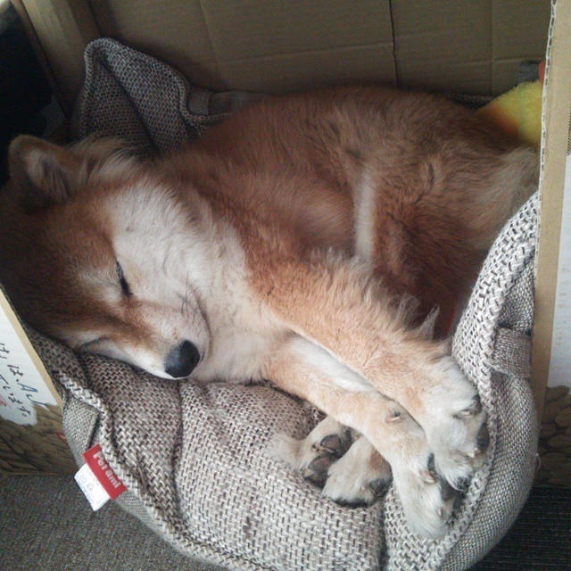 开云全站下载-“足球+科技”融合创新,推动行业不断跨越发展,融合足球队