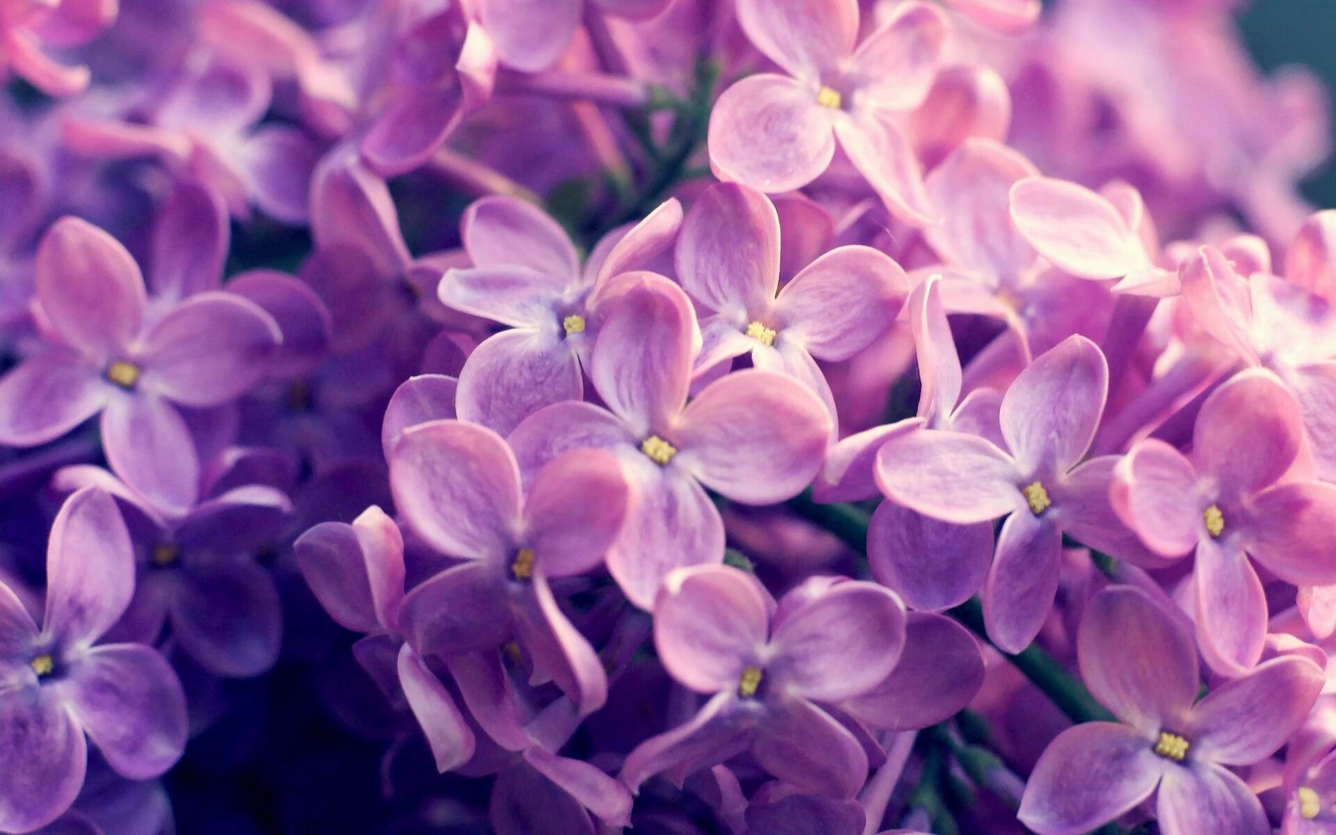 kaiyun官方入口登录-中国足球青训教练培训体系探索形成,专业度不断提升,做足球青训教练的行业怎么样