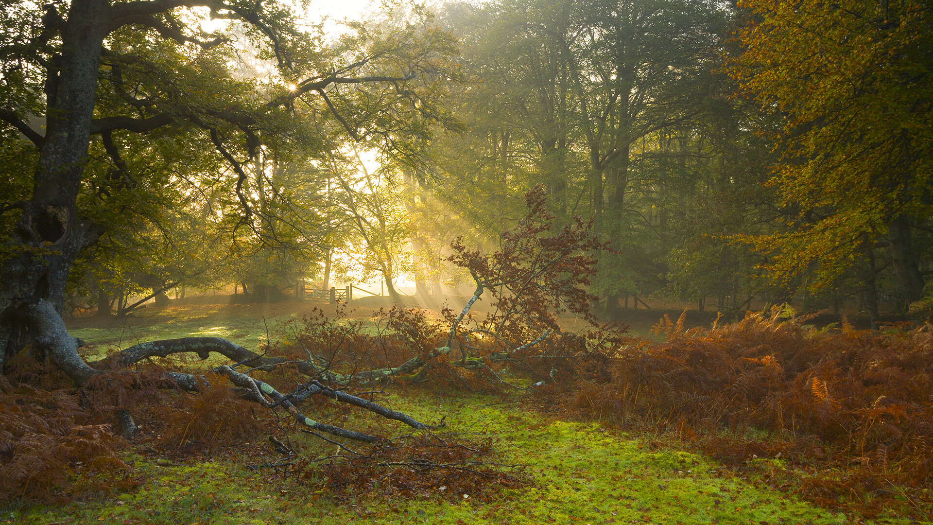 开云官网入口-克罗地亚青少年马术选手在2024年全国青少年马术锦标赛中表现出色，获得多项荣誉。