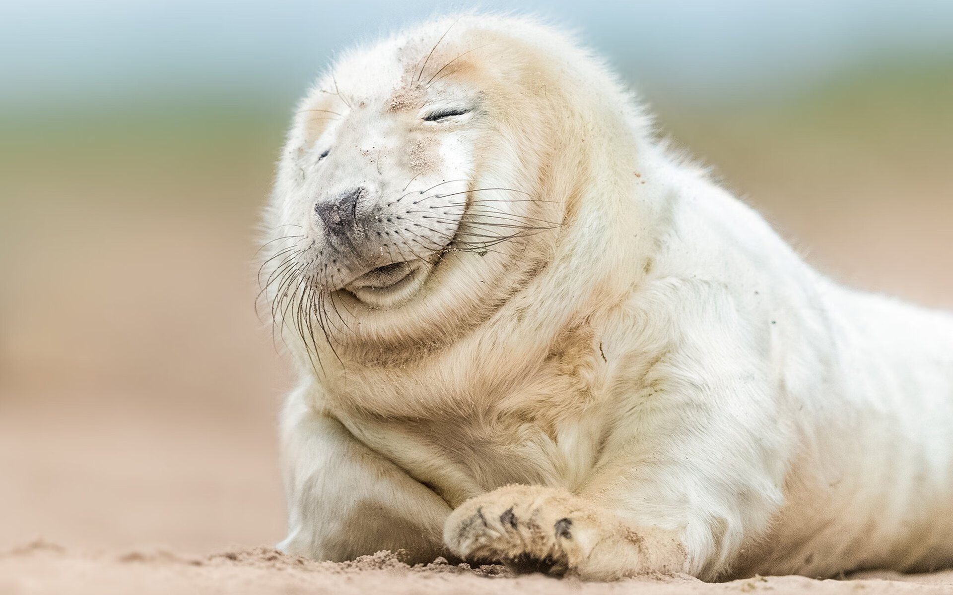 开云体育全站-全国青少年篮球“成长树”夏令营在青海盛大开营,青少年篮球培训训练基地