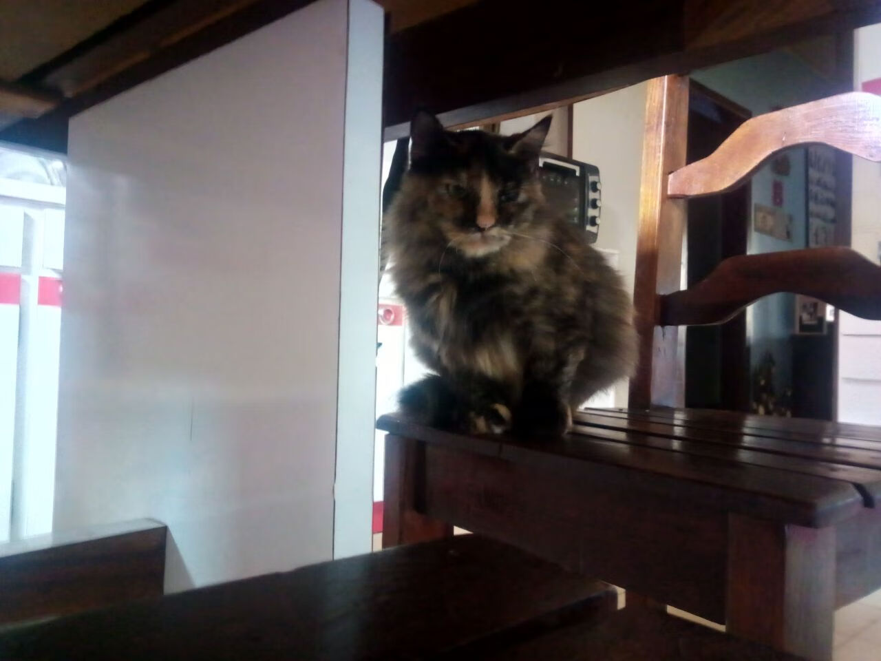 开云彩票-全明星投票:超级球星“激战”中你最支持谁?