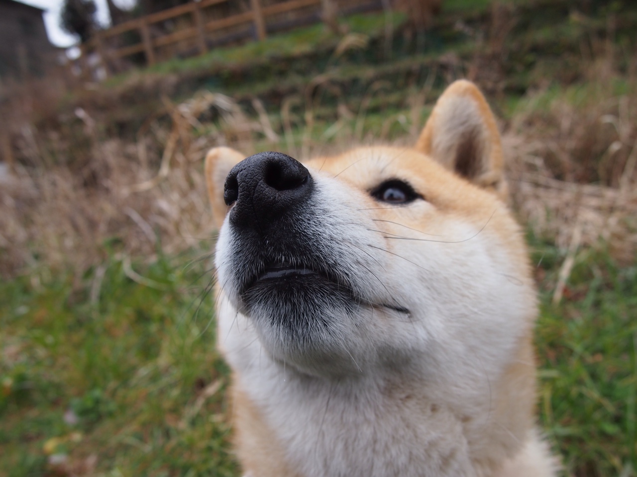开云平台-勇士球员联合发布公益单曲,呼吁关注青少年心理健康,勇士队官方