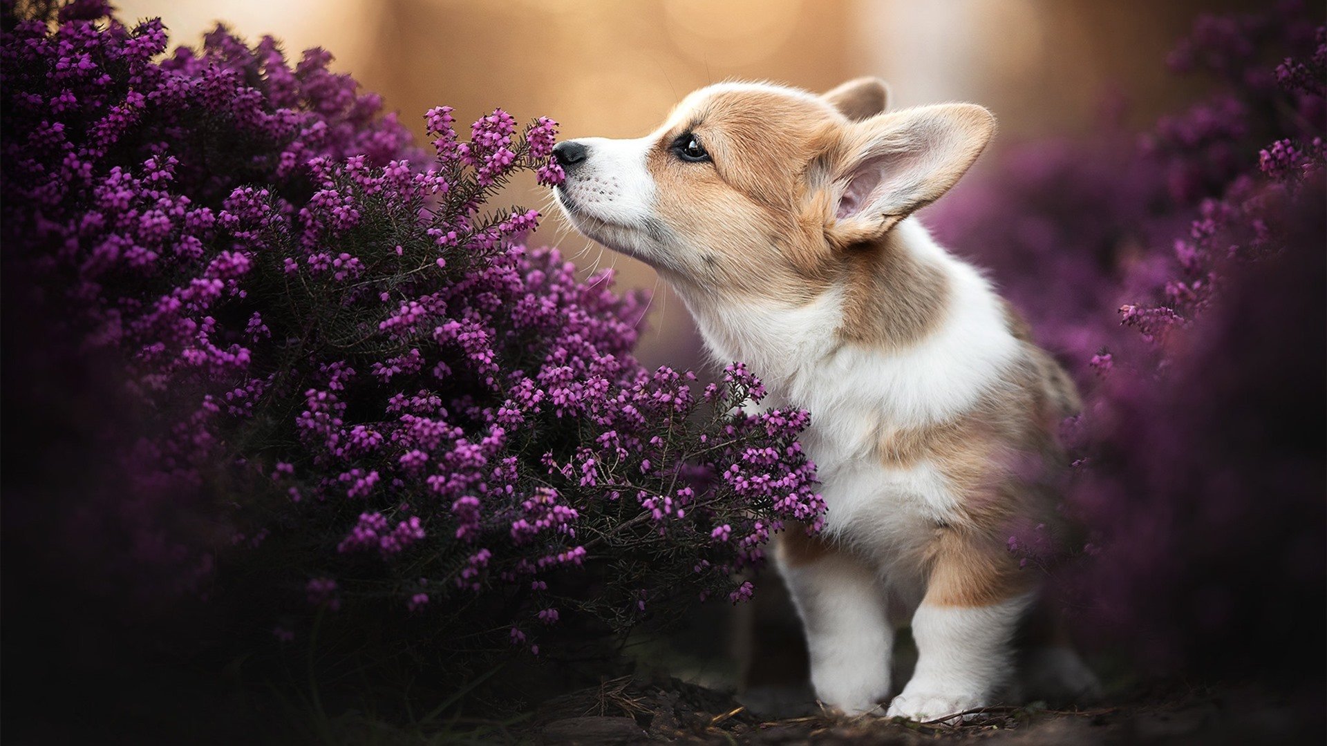 开云真人-周末战报：激烈对抗一周盘点