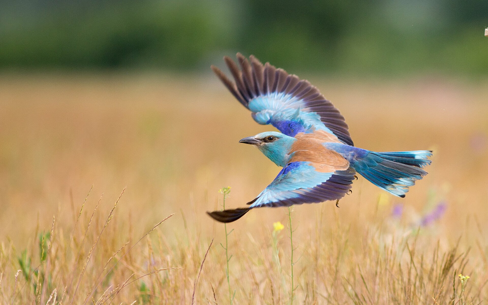 开云娱乐官网-普拉提课程在企业团建中应用，提升员工凝聚力，普拉提公司介绍